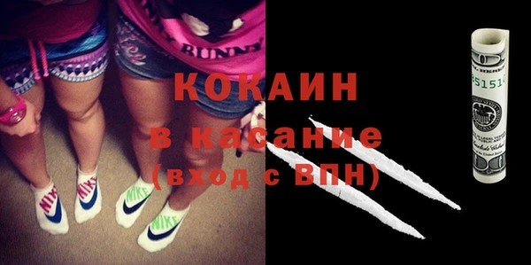 гашик Коряжма