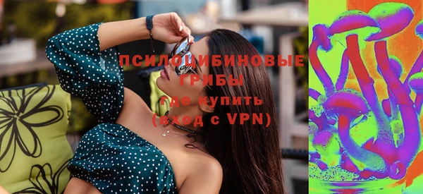 2c-b Козловка