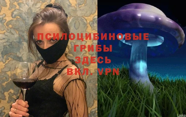 гашик Коряжма