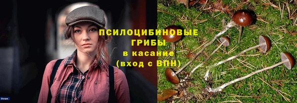 2c-b Козловка