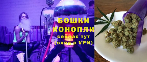 2c-b Козловка