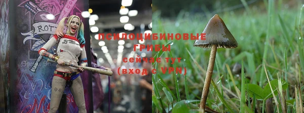 a pvp Кодинск