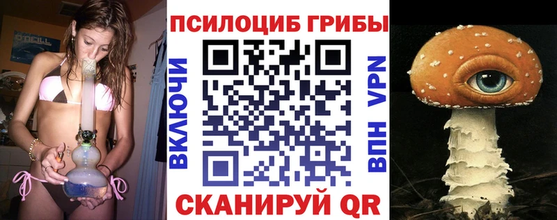 Псилоцибиновые грибы GOLDEN TEACHER  Купить где  Дмитриев 