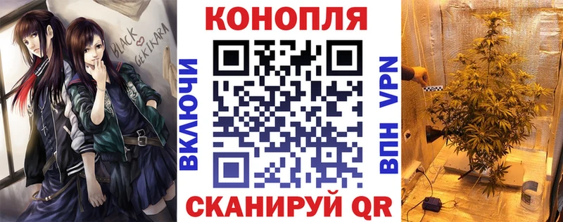Купить где  Дмитриев  Марихуана OG Kush 